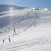 Mt Buller Snow Day Tour - We Wander