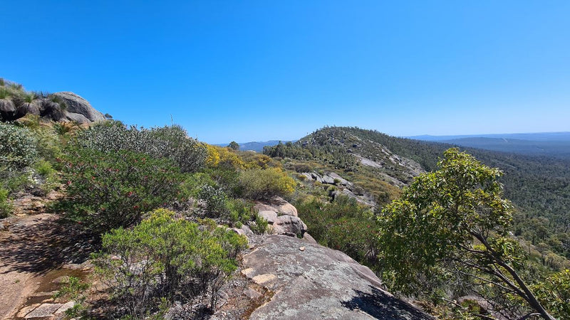 Mt Cooke Hiking Experience - We Wander