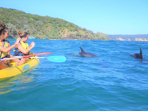 Noosa Dolphin View Sea Kayak & Beach 4X4 Adventure - Day Tour - We Wander