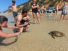 Noosa Dolphin View Sea Kayak & Beach 4X4 Adventure - Day Tour - We Wander