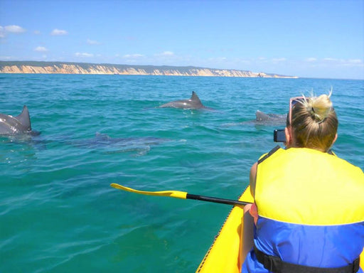 Noosa Dolphin View Sea Kayak & Beach 4X4 Adventure - Day Tour - We Wander