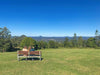 Noosa Hinterland Tour With Gourmet Lunch, Wine Tasting And Everglades Lake - We Wander