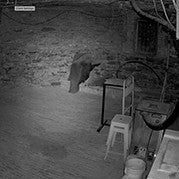 North Kapunda Hotel Paranormal Lockin - We Wander