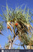 One Day Litchfield Park Adventures - We Wander