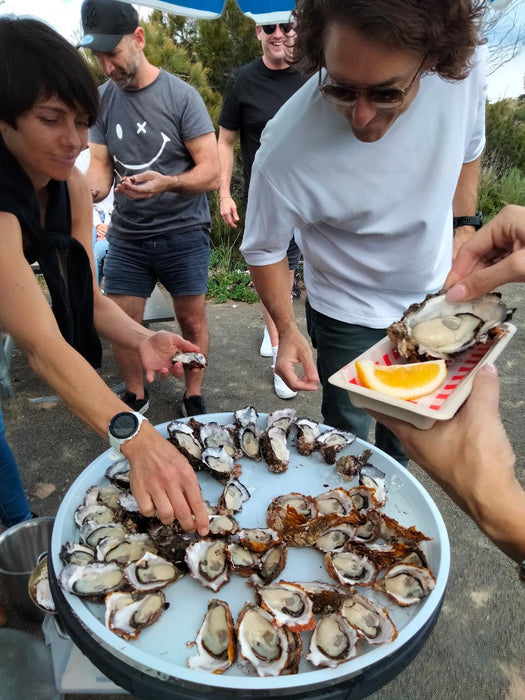 Oyster Farm Shuck And Chat - We Wander