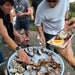 Oyster Farm Shuck And Chat - We Wander