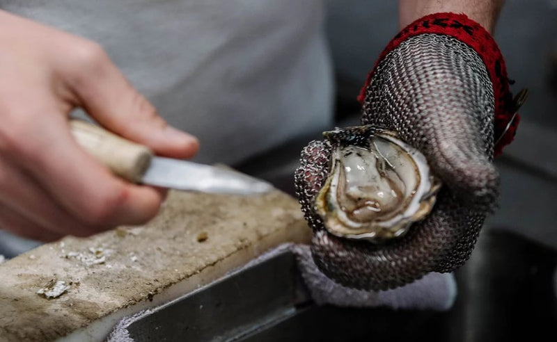 Oyster Farm Tour - We Wander