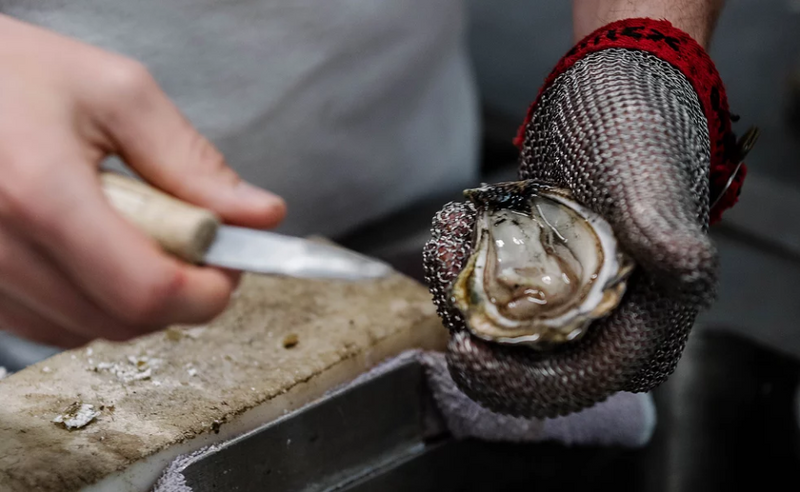 Oyster Farm Tour