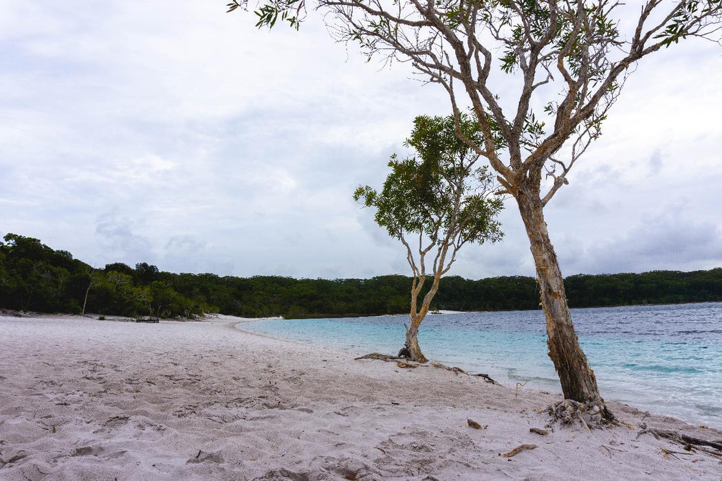 Pack - Free Camping: Lake Mckenzie Eco Walk - 2 Days - We Wander