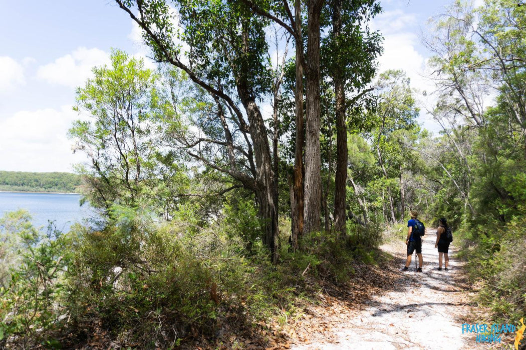 Pack - Free Camping: Lake Mckenzie Eco Walk - 2 Days - We Wander