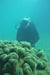 Padi Open Water Course - We Wander