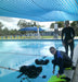 Padi Open Water Course - We Wander