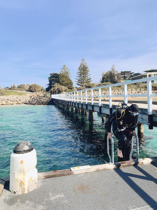 Padi Refresher Dive Course - We Wander