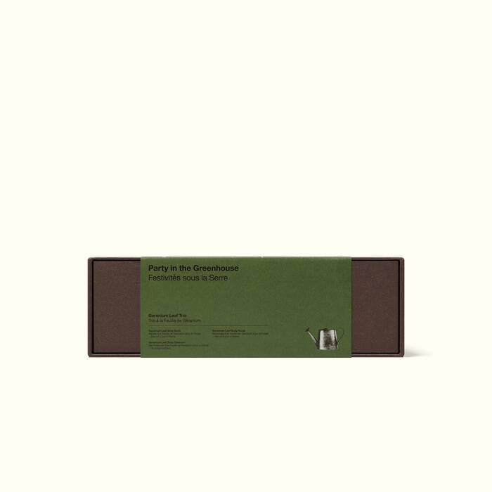 Party in the Greenhouse - We Wander