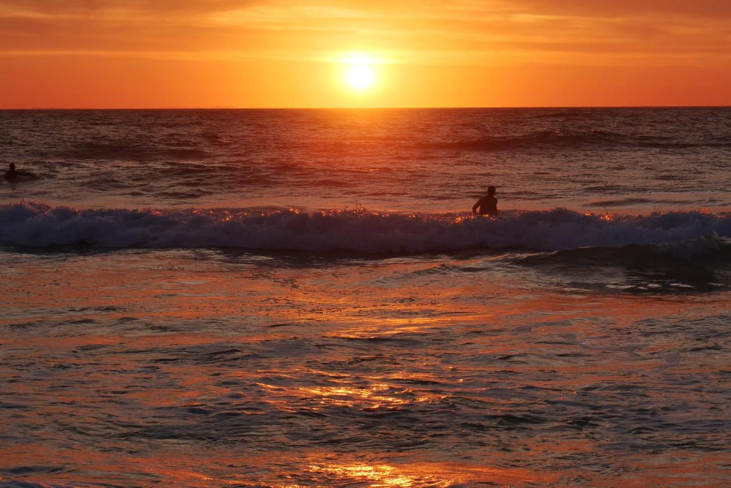 Photographing Australian Animals, Seascapes And Sunsets - We Wander