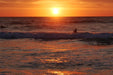 Photographing Australian Animals, Seascapes And Sunsets - We Wander