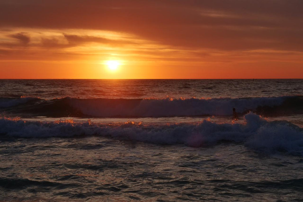 Photographing Australian Animals, Seascapes And Sunsets - We Wander