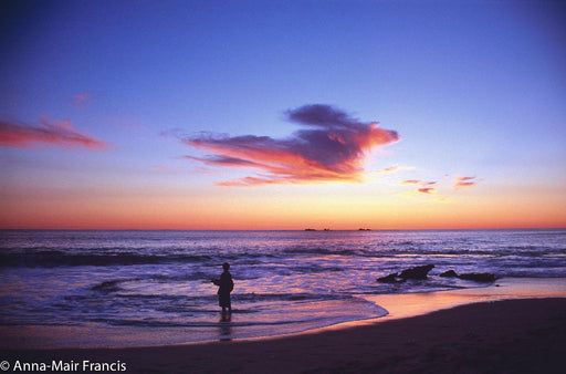 Photographing Australian Animals, Seascapes And Sunsets - We Wander