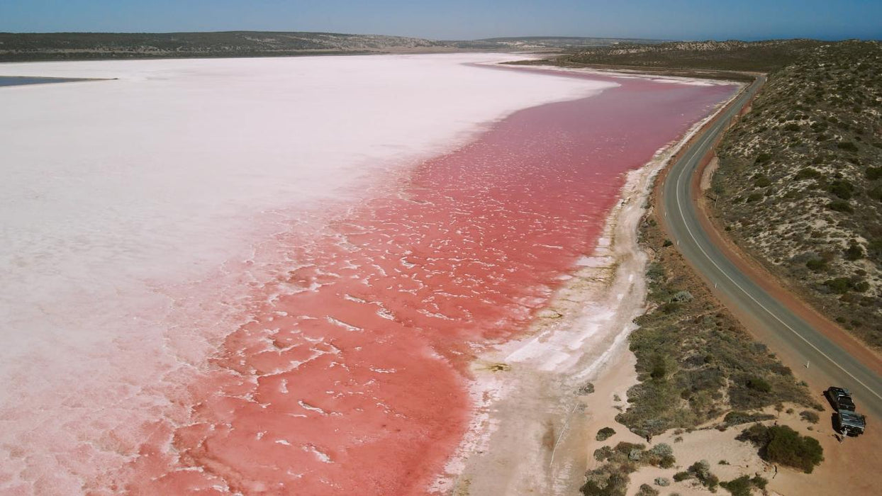 Pink Lakes And Abrolhos Scenic Flyover Tour With Tea - We Wander