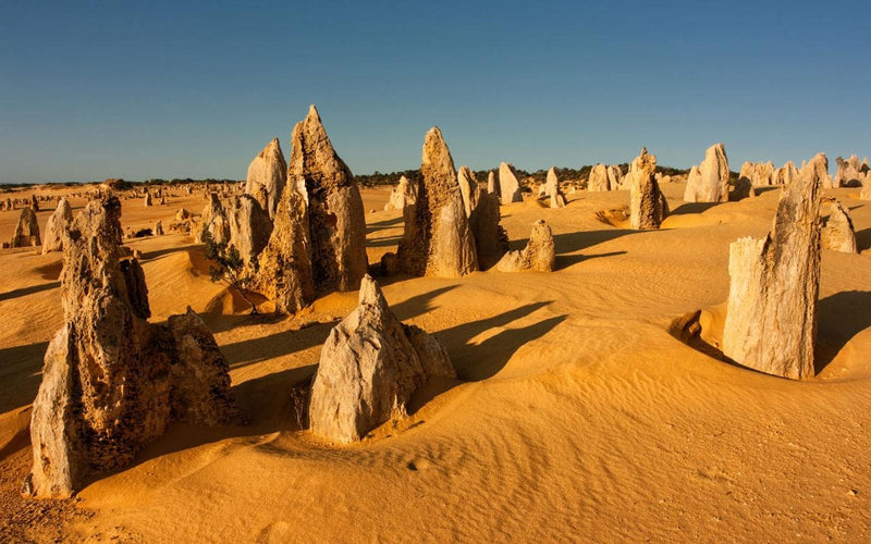 Pinnacles, Yanchep National Park & Lancelin