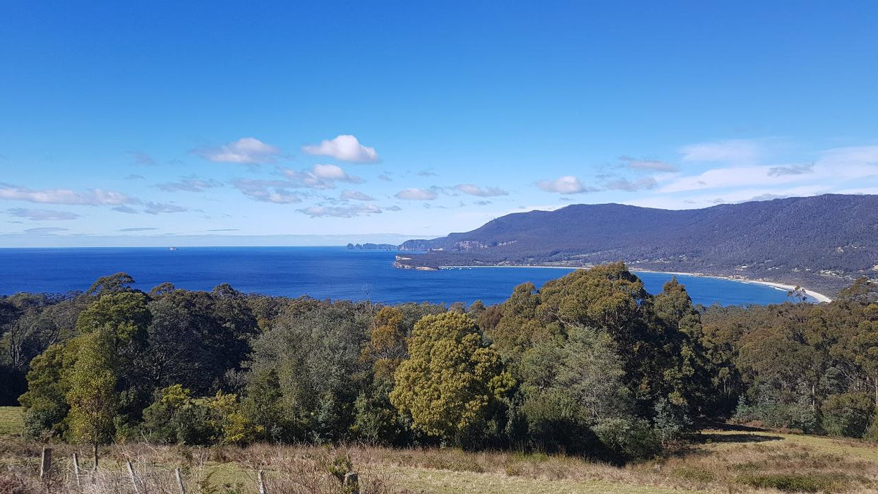 Port Arthur & Tasman Peninsula Day Tour - We Wander