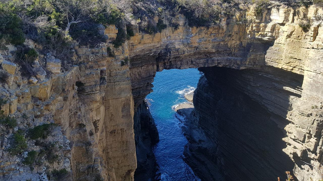 Port Arthur & Tasman Peninsula Day Tour - We Wander