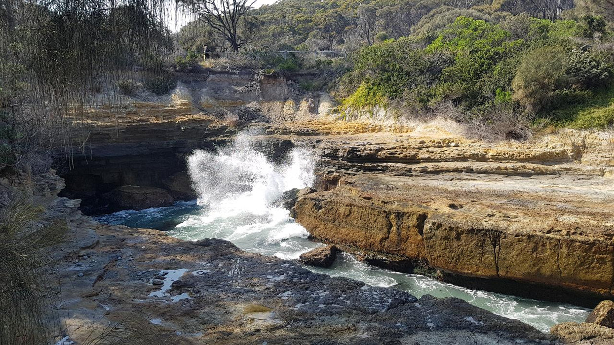 Port Arthur & Tasman Peninsula Day Tour - We Wander