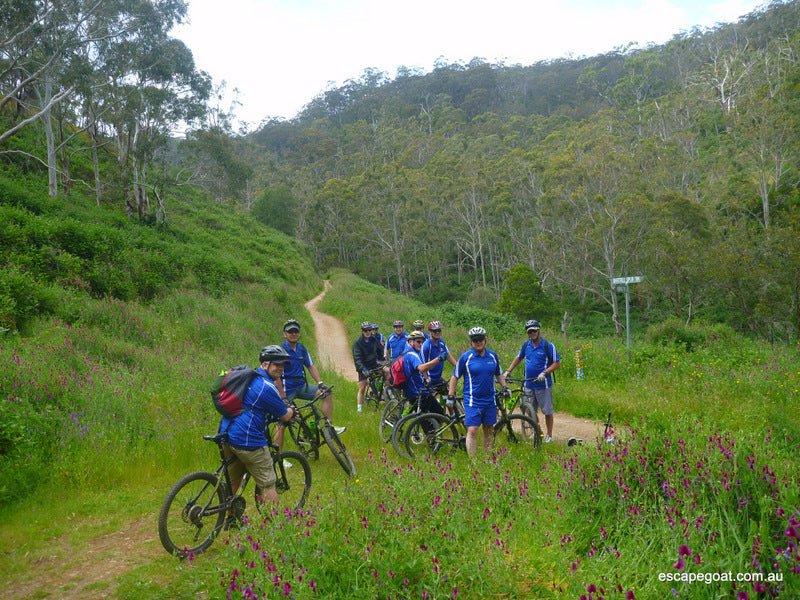 Premium Bike Tour - We Wander