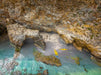 Rapid Bay Sea Kayaking Tour - We Wander