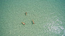 Remote Fraser Island Experience - We Wander