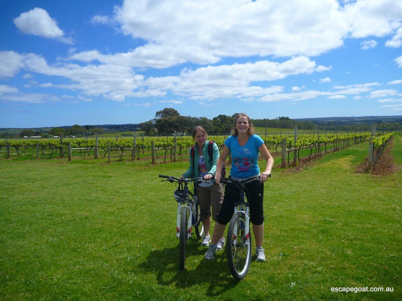 Ride And Wine Tour - We Wander