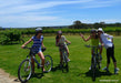 Ride And Wine Tour - We Wander