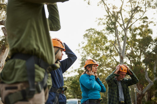 Rock Climb - Beginner To Intermediate - We Wander