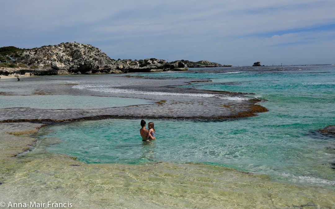 Rottnest Photographic Day Tour Without Ferry - We Wander