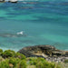 Rottnest Photographic Day Tour Without Ferry - We Wander