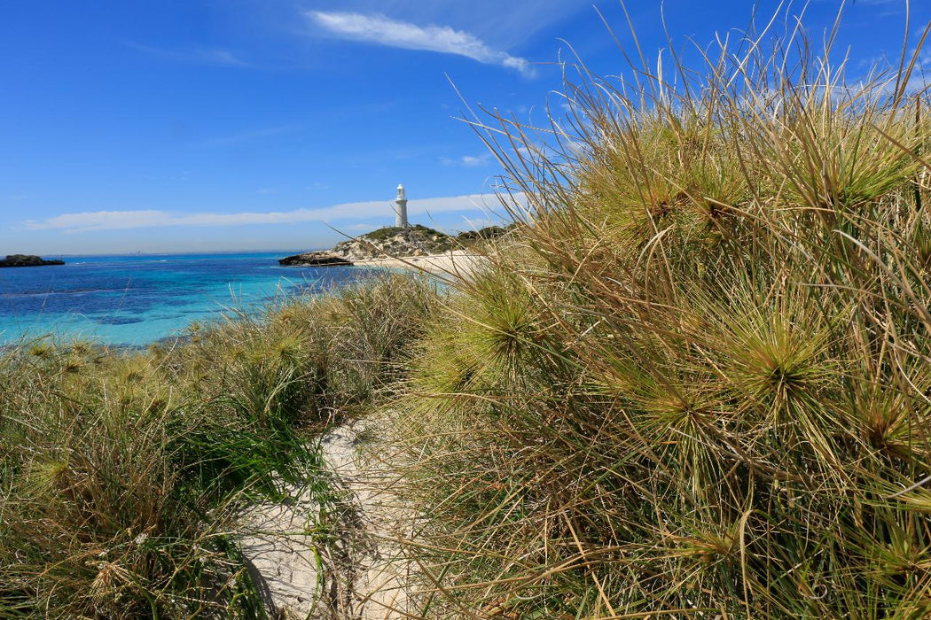 Rottnest Photographic Day Tour Without Ferry - We Wander