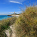 Rottnest Photographic Day Tour Without Ferry - We Wander