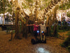 Segway Brisbane Scenic Adventure Night Tour 2Hr - We Wander