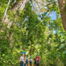 Segway Rainforest Discovery Tour - We Wander