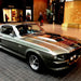 Shelby Mustang Joyride - We Wander