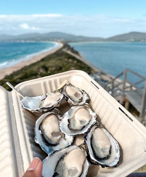 Shore Excursion - Bruny Island Day Tour - We Wander