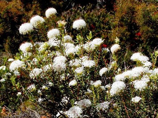 Southern Wheatbelt Wander Two Nights & Three Days - We Wander