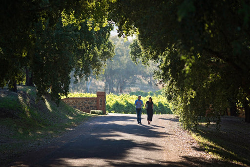 St Hugo & Riedel Masterclass & Dining Experience - We Wander