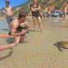 Stand Up Paddle Wildlife Tour & Beach 4X4 Day Trip - Noosa - We Wander