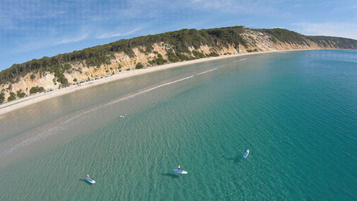 Stand Up Paddle Wildlife Tour & Beach 4X4 Day Trip - Noosa - We Wander