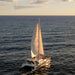 Sunset Sail Or Whale Watching (July - November) - We Wander