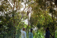 Sweet Pack By Claire Taylor - We Wander