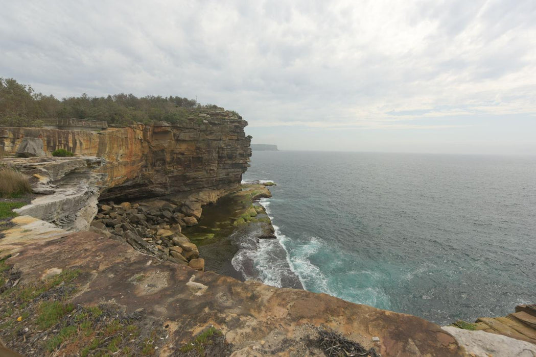 Sydney City Highlights Half Day Morning Private Charter Tour - We Wander