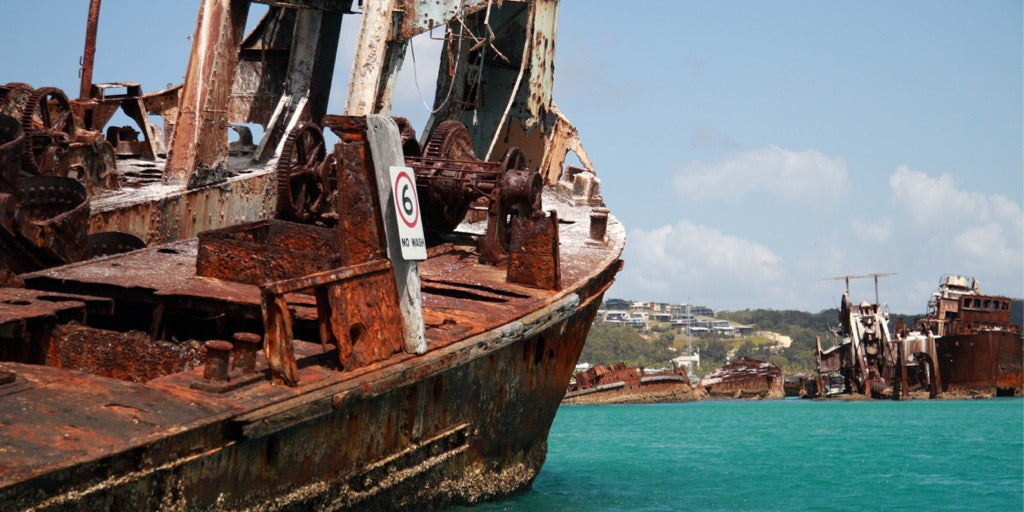 Tangalooma Wrecks Snorkeling -Diving