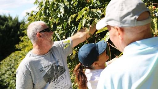 Tastes Of Tamborine Mountain Tour - We Wander